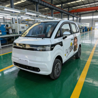 Mini-bus électrique fermé 4 places pour bébé, 4 roues, mobilité quotidienne adulte, batterie Li 200Ah, autonomie 300km, vitesse 55km/h