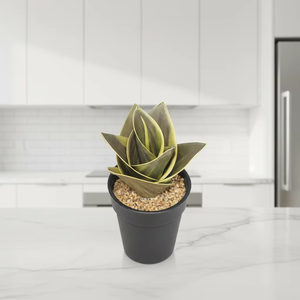 Planta Artificial de <span class=keywords><strong>Sansevieria</strong></span> Trifasciata en Maceta Negra, Planta Serpiente Artificial Variegada para Decoración del Hogar, Oficina, Mesa, Estante - Product Image 5