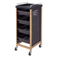 Chariot de Salon Professionnel en Plastique Noir avec Roues pour Outils de Coiffure et Esthétique - Vente en Gros Usine