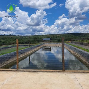 中国工厂池塘班轮土工膜1毫米<span class=keywords><strong>Hdpe</strong></span>土工膜价格池塘土工膜价格 - Product Image 5