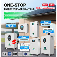 Batterie murale Power Wall 10kWh 15kWh 20kWh 51.2V 200Ah LiFePO4 Système de stockage d'énergie domestique BMS CE
