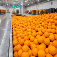Ligne de traitement automatique clé en main pour jus d'agrumes, usine de production de jus d'orange NFC, machine d'extraction de jus de fruits