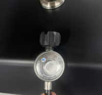 Pizza ofen mit Stein Werbe Oem Niedrig preis Konvektion 16 Zoll Gas Pizza ofen 2300w Pizza ofen tragbar