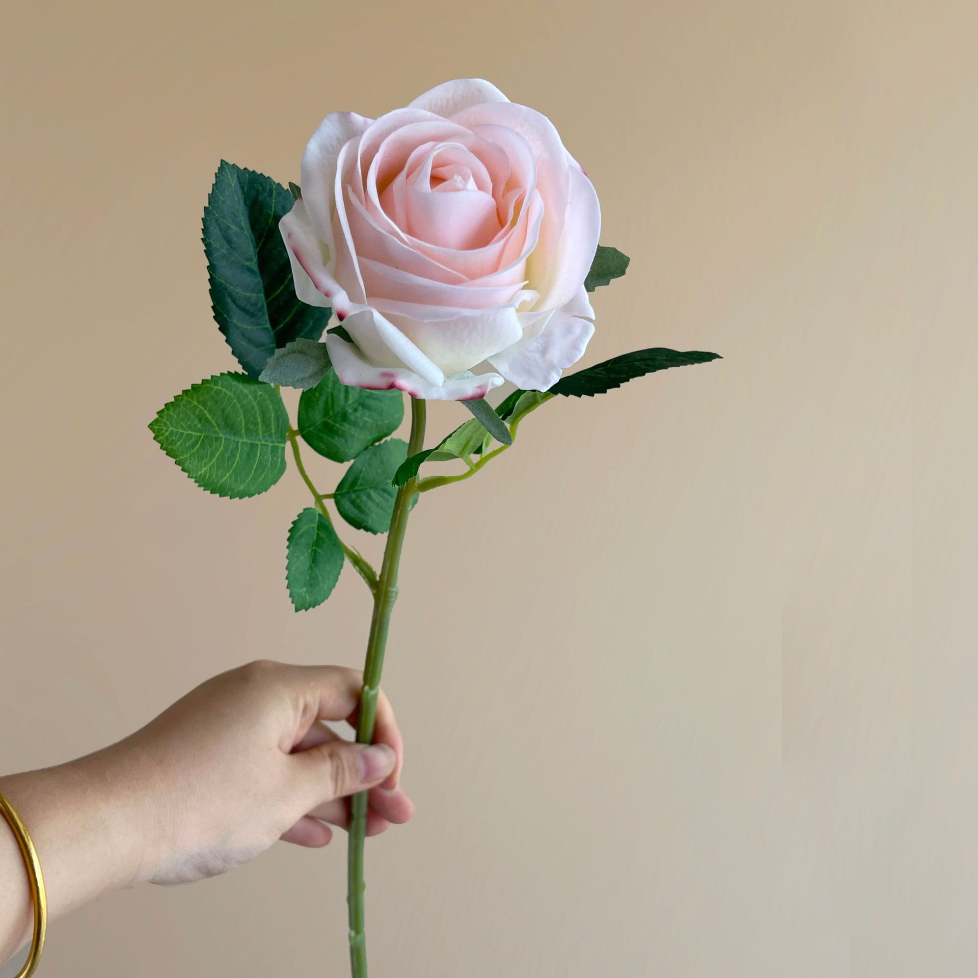 Rose03