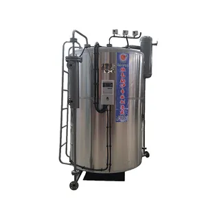 Automatic Vertical LPG Fired Steam Boilers 100kg Soup Pot Steam Boiler Supplier