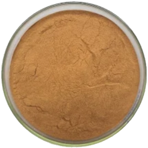 USA EU Warehouse grosir kualitas tinggi Harga kompetitif kemurnian tinggi bubuk ekstrak <span class=keywords><strong>Soapwort</strong></span> - Product Image 3