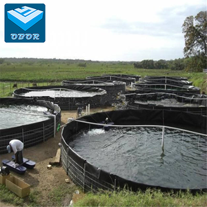 Lámina de geomembrana de HDPE de grado alimenticio de 0.5mm, 0.75mm, 1mm, 1.2mm, 1.5mm, 2mm para revestimiento de estanques, presas, canales, vertederos y proyectos de granjas de camarones - Product Image 3