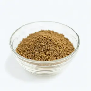 New Listing Natural Herbal Extract Senna Leaves Extract Sennoside 10%20% Senna Leaf Extract Powder