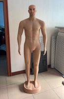 Mannequin Homme Complet « Effet Peau » sans Tête en Plastique Musclé - Fabricant Prix de Gros