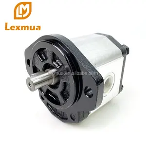 Fabricant chinois Lexmua produit remplacer le groupe hydraulique de marque capri série 00 10 20 30 pompe à huile à engrenage hydraulique