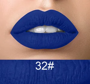 Lip Color makeup products Made in China (OEM/ODM) low moq your own logo matte blue color lipstick kit supplier