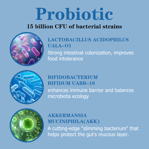 Líquido Oral Adelgazante Personalizado de Fábrica, Salud Intestinal, Digestión, Desintoxicación, Absorción Mejorada, Apoyo al Sistema Inmunológico - Product Image 4