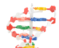 Modèle pédagogique de structure moléculaire de la double hélice d'ADN en PVC pour l'enseignement médical