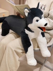 Peluche <span class=keywords><strong>Husky</strong></span> Super Mignonne et Moelleuse avec Rembourrage en Peluche Ultra Douce et Coton PP, Cadeau d'Anniversaire Unisexe - Product Image 3