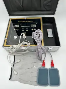 Medium Frequency Pulse DDS Bio Electric Stimulation Fohow Bioenergy Massager Machine For Scoliosis Treatment