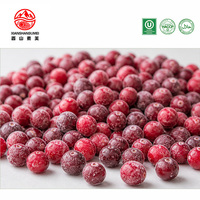 10kg Karton IQF Diepvries Cranberries Hele Verse Cranberryvruchten 24 Maanden Houdbaarheid Bulk Heilongjiang China