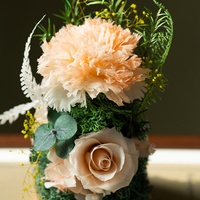 Élégante rose séchée sous cloche en verre, décoration d'intérieur, cadeau pour la Saint-Valentin, la fête des enseignants, souvenir et occasions spéciales