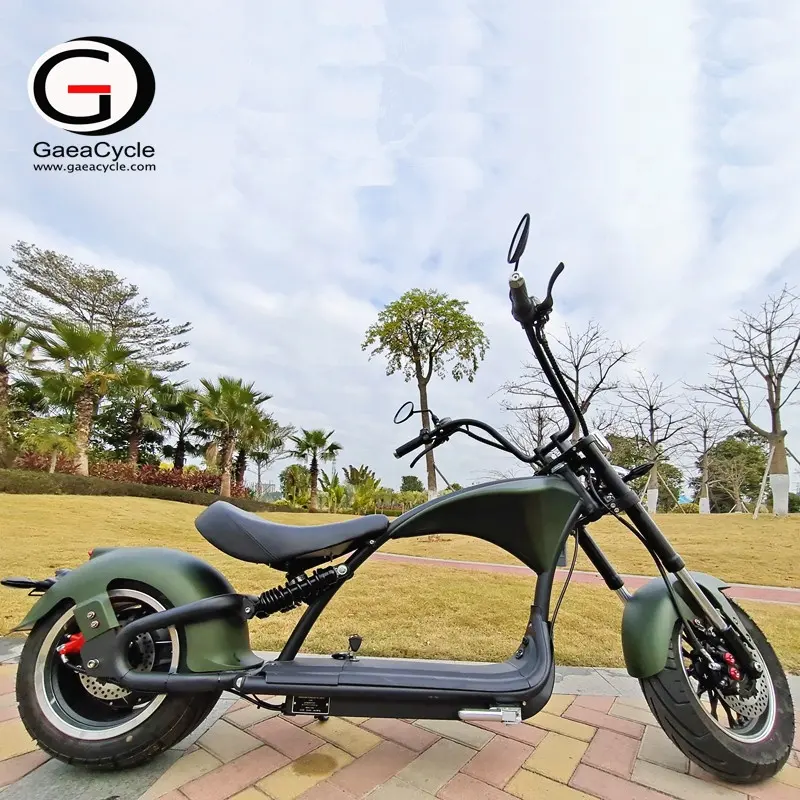 Citycoco — moto électrique Gaea M1pro, Chopper avec batterie au Lithium, entrepôts en pologne et dans l'union européenne