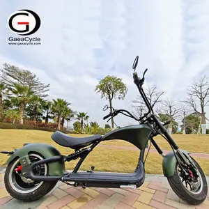 Eu Warehouse Gaea M1pro Citycoco Motorrad EEC Electric Chopper Motorrad mit Lithium batterie