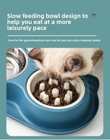 Bol pour chat Produits pour chiens Accessoires pour animaux de compagnie