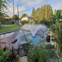 QUSHENG Fontaine Flottante Solaire Personnalisable avec Pompe Submersible pour Bassin et Aménagement Paysager – Fabricant OEM