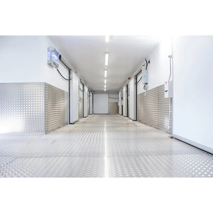 Commercial <b>Refrigerated</b> Storage Walk-in Freezer Modular <b>Container</b> Structure Auto Defrost Digital Thermostat System - Product Image 5