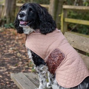 Vêtements pour <span class=keywords><strong>chien</strong></span> avec logo personnalisé, veste Teckel coupe-vent, vêtements résistants à l'eau, <span class=keywords><strong>manteau</strong></span> d'extérieur pour <span class=keywords><strong>chien</strong></span> Teckel, gilet pour <span class=keywords><strong>chien</strong></span> Greyhound - Product Image 3