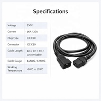 Câble d'alimentation de longueur personnalisée, cordon d'extension avec fiches IEC C13 C14 C15 C19 C20 C21 pour centre de données, PDU, rack de serveur