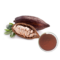 Poudre d'extrait de plante de Coca