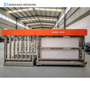 Chất lượng cao mới cừu/dê trọng lượng và kích thước Hệ thống đo lường với trang trại thiết bị cừu hàng rào - Product Image 5