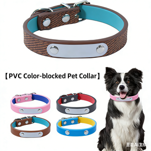 Collier pour chien neuf d'usine, accessoires pour animaux de compagnie, collier pour chat en PVC avec lettrage et couleurs assorties - Product Image 4