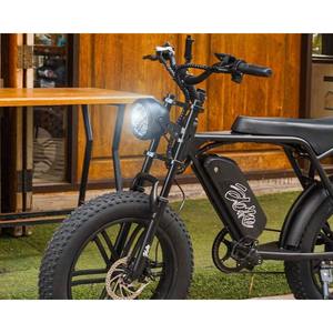 Vélo Hybride pour Adulte, <span class=keywords><strong>20</strong></span> <span class=keywords><strong>Pouces</strong></span>, Gros Pneu, 500/750/48V, Acier, Amovible, pour Adulte - Product Image 2