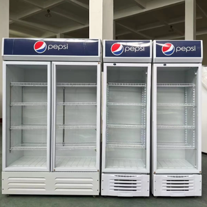 Commercial Single Door Beverage Display <b>Freezer</b> Direct Cooling Home Equipment for Convenience Store Use Direct Cooling Maintains - Product Image 2