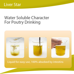 レバー・スター・ミルクシスル抽出物 シリバム 鶏の肝臓機能の回復を保護する - Product Image 4