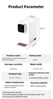 Appareils électroménagers commerciaux : Machine à eau hydrogénée, Générateur d'eau hydrogénée, Générateur H2 et purificateur d'eau tout-en-un