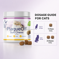 OEM 45ct Cat Dental Soft Chews Natural Kelp Wellness Aid Plaque Tartar Maintenance Booster Perawatan Napas Tak Sedap Vitalitas 112.5g