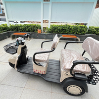 Mini tricycle électrique 1000W pour adultes, 3 places, 3 roues, tout-terrain, scooter de mobilité ouvert pour le tourisme et le transport