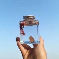 Vente en gros : Aquarium carré transparent en plastique Douyu Can, aquarium micro-paysage de grande beauté, petit aquarium en plastique pour poissons
