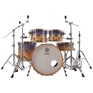 Hailun Artist Series Popular Burl Jazz Drum Set 5 tambores 4 platillos niños Adultos principiantes Instrumentos de percusión musical