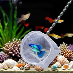 Huisdierenproducten Schaalbaar 3d <span class=keywords><strong>Aquarium</strong></span> Kleine Vis Garnalennet Vierkant Roestvrijstalen Mini <span class=keywords><strong>Aquarium</strong></span> Netreiniging Gereedschap Accessoires - Product Image 2