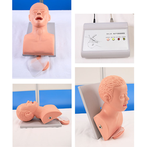 แบบจำลองฝึกใส่ท่อช่วยหายใจแบบอิเล็กทรอนิกส์ทำจาก PVC สำหรับนักศึกษาแพทย์และ<span class=keywords><strong>อาจารย์</strong></span> ได้รับการรับรองมาตรฐาน CE/ISO รับประกัน 2 ปี - Product Image 3