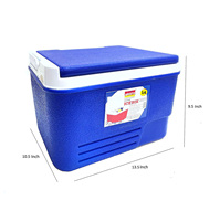 Glacière rigide isotherme 6L pour extérieur, pêche, aliments, bière et vin, avec poignée
