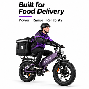 Bicicleta Eléctrica de Carga D40 al por Mayor, 750W, 48V40AH, 80N·m Torque 45 °   Bicicleta Eléctrica Personalizada de Grado OEM con Entrega Directa - Product Image 1