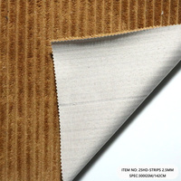 Warp Knitted 2,5 Wale Tela de pana 100% Poliéster 250GSM Tela de tapicería para muebles Asiento de autobús Textil en stock