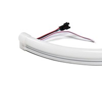 WS2811 2815 RGB 12V 5050 pixels bande néon étanche pour l'extérieur