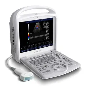 Color Doppler Portable 96 elemeLGMs array 15 inch LED color display Ultrasound Machine