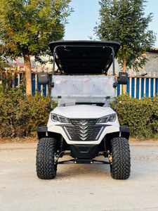 Voiture de golf électrique à 4 places, à essence, tout-terrain 4x4, avec pare-chocs arrière et batterie au lithium, d'occasion, 2 places - Product Image 2