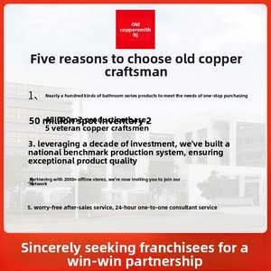 Vanne anti-retour universelle en cuivre massif pour cheminées et hottes <span class=keywords><strong>de</strong></span> salle <span class=keywords><strong>de</strong></span> bain, épaissie, pour cuisines en immeubles <span class=keywords><strong>de</strong></span> grande hauteur, Chine - Product Image 4