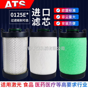 Elemento de Filtro de Aire Comprimido ATS 0125E P M H C X S, Cartucho Tubular para Eliminación de Aceite y Agua en Industrias de Alta Higiene - Product Image 1