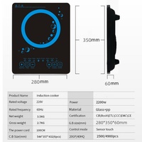 Appareil de cuisson électromagnétique à brûleur unique portable 220V avec verrerie en céramique multifonctionnelle, adapté à un usage domestique
